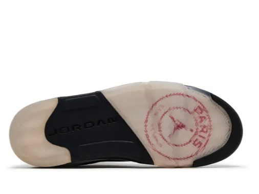 Paris Saint-Germain x Jordan 5 Retro 'Friends & Family'