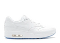 Wmns Air Max 1 Premium 'Ice Pack'